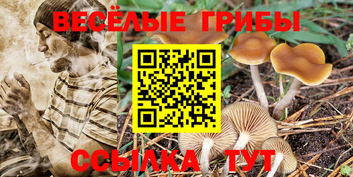 Галлюциногенные грибы MAGIC MUSHROOMS Дмитров